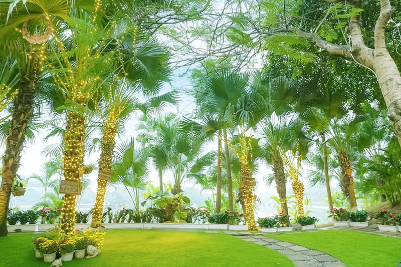 Không gian xanh như Đà Lạt thu nhỏ giữa Hà Nội tại Biệt thự số 1 Không gian xanh như Đà Lạt thu nhỏ giữa Hà Nội
