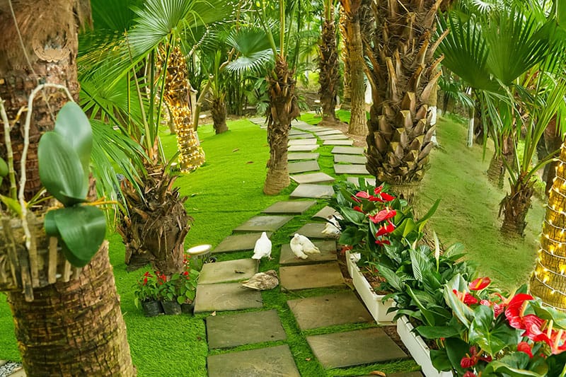 Không gian xanh như Đà Lạt thu nhỏ giữa Hà Nội tại Biệt thự số 1 Không gian xanh như Đà Lạt thu nhỏ giữa Hà Nội