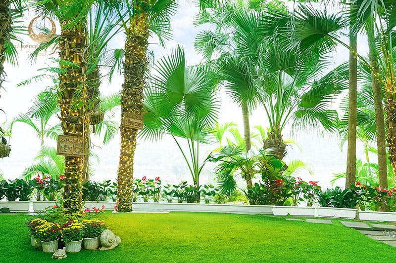 Khu nghỉ dưỡng Xanh cho kì nghỉ lễ trọn vẹn: Tìm về an nhiên tại Biệt thự số 1 Khu nghỉ dưỡng Xanh cho kì nghỉ lễ trọn vẹn