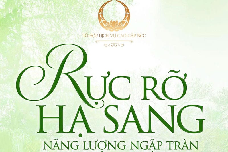 Rực rỡ Hạ sang - Năng lượng ngập tràn