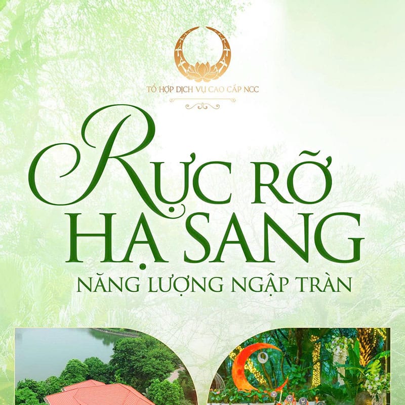 Rực rỡ Hạ sang - Năng lượng ngập tràn