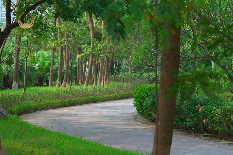Đắm mình trong không gian xanh mát tại Biệt thự số 1